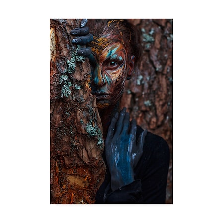 Ivan Kovalev 'Keeper Of The Wood' Canvas Art,12x19